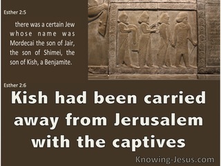 Esther 2:6 Kish Had Been Carried Away Into Exile (brown)